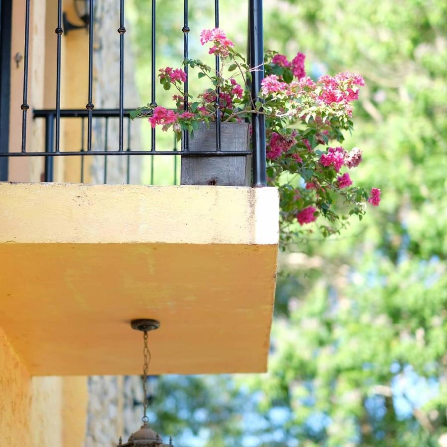 La Casa Di Beatrice Bed & Breakfast Panglao Exterior photo